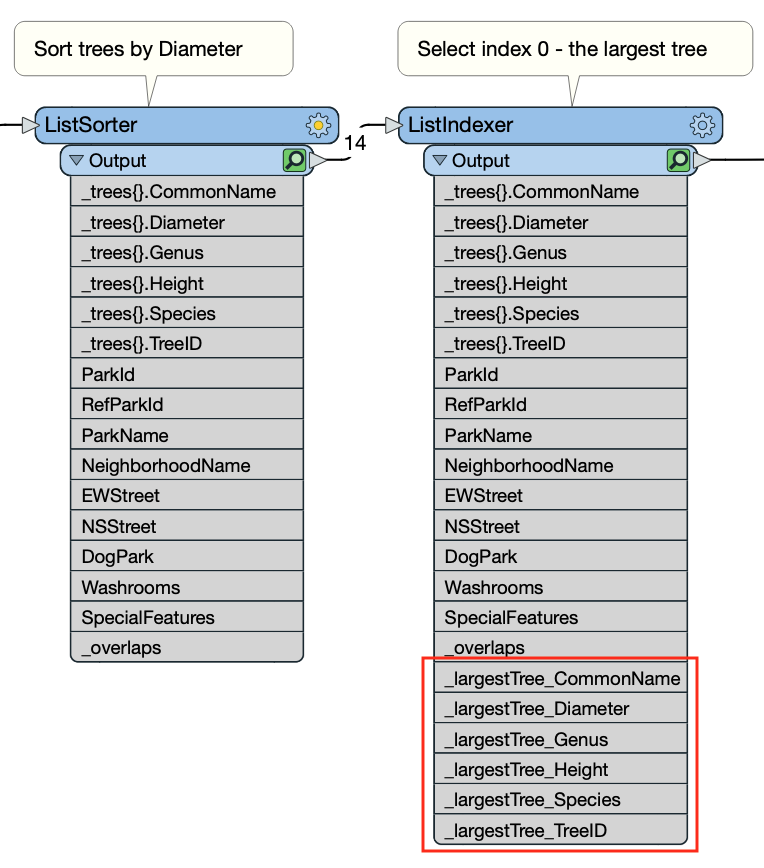 Largest tree attributes